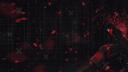 Discovery splash banner for CS-SEXY.RU ⭐ Ласковый Проект ❤ Discord server