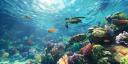 Discovery splash banner for The Club › Pakistan Discord server