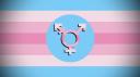 Discovery splash banner for Transfem Hangout Discord server