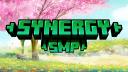 Discovery splash banner for Synergy SMP |Community Discord server