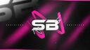 Discovery splash banner for SocialBar | Active Chat • VC Calls • Gaming • Emotes • Hangout • Egirls • Chill • Fun • Friends Discord server