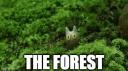 Discovery splash banner for The Forest Discord server