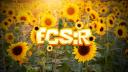 Discovery splash banner for Economy Simulator: Reborn Discord server