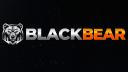 Discovery splash banner for Black Bear | FULL PVE Discord server