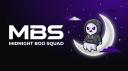 Discovery splash banner for BooSquad Discord server