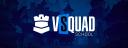 Discovery splash banner for VSQUAD School Discord server