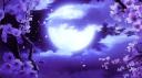 Discovery splash banner for D❦hlia Discord server