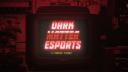Discovery splash banner for Dark Matter Esports Discord server