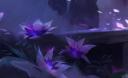 Discovery splash banner for Winners Queue Discord server
