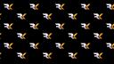 Discovery splash banner for RayKit Gaming Discord server