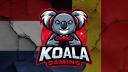 Discovery splash banner for KOALA Gaming 🐨🎮  🇳🇱🇧🇪 Discord server