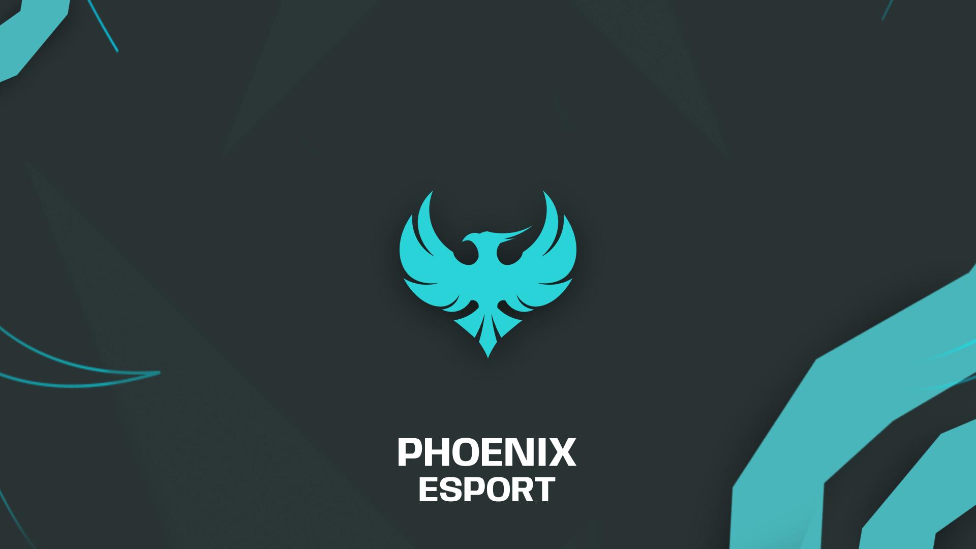 Discovery splash banner for Phoenix Discord server