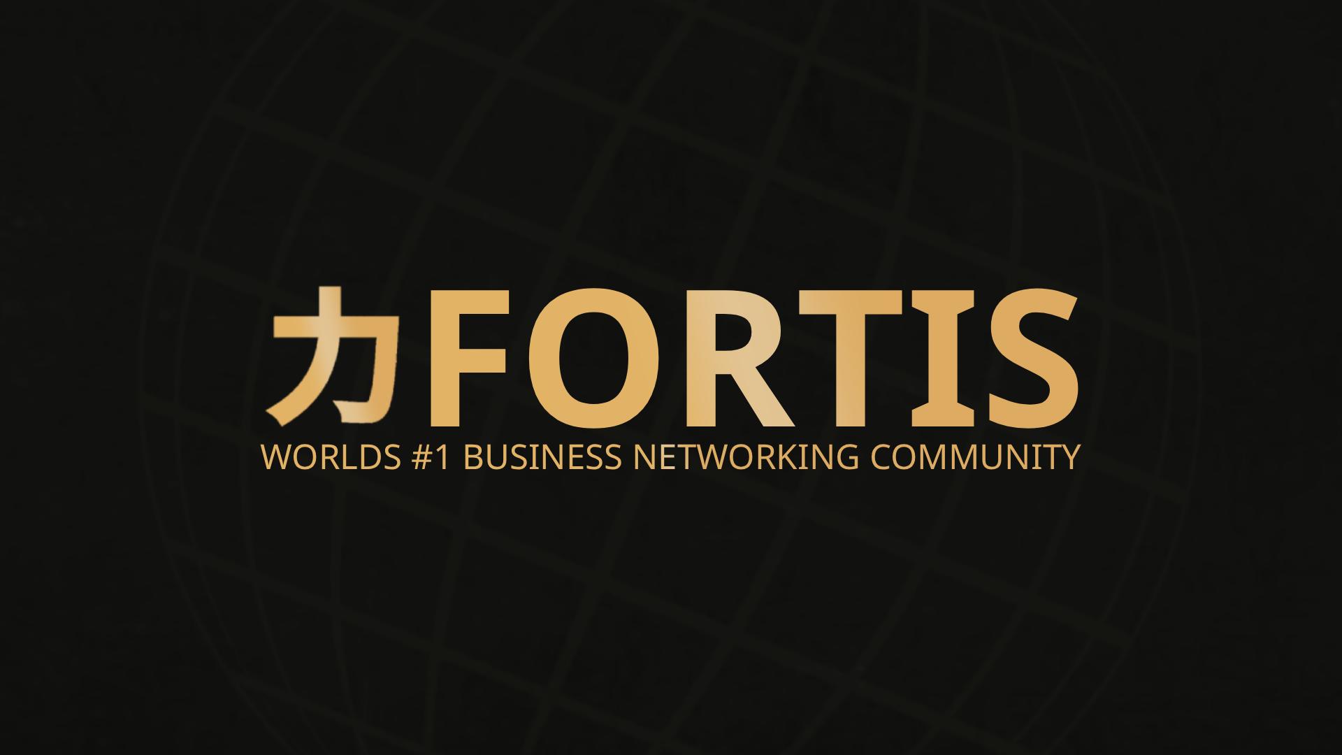 Discovery splash banner for Fortis Business Discord server