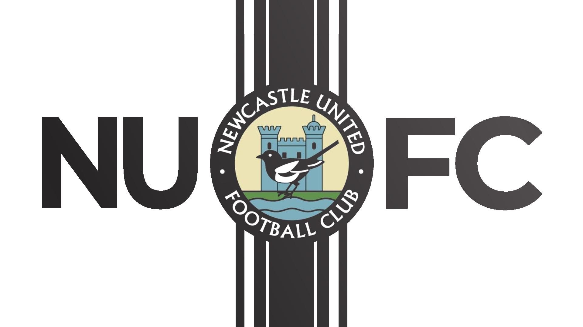 Discovery splash banner for Newcastle United Discord server