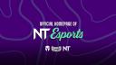 Discovery splash banner for NT Esports Discord server