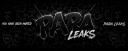 Discovery splash banner for ParaLeaks┃New Update Discord server