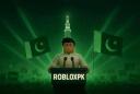 Discovery splash banner for RobloxPK Discord server