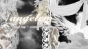 Discovery splash banner for ๐ angelcm | ANGL TAG | Nitro Giveaways ๐ Discord server