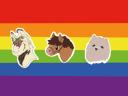 Discovery splash banner for Prideful Discord server