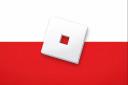 Discovery splash banner for Roblox Polska! Discord server