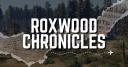 Discovery splash banner for Roxwood: Chronicles Discord server