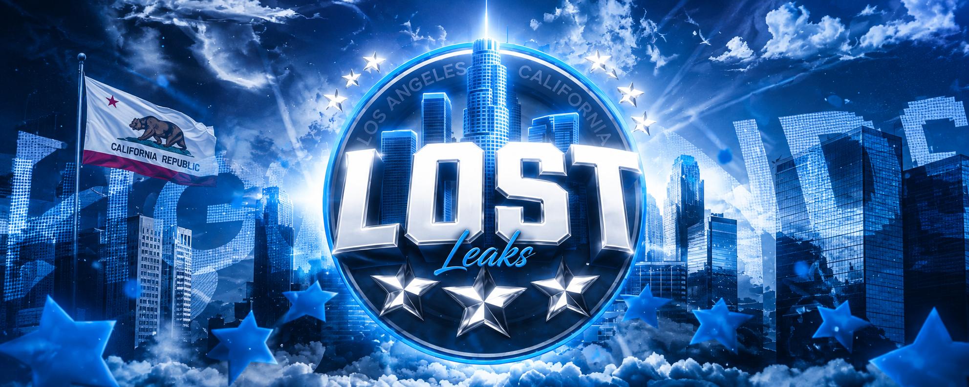 Discovery splash banner for Lost Leaks | 120$ GW LIVE Discord server