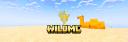 Discovery splash banner for WildMC - Network Discord server