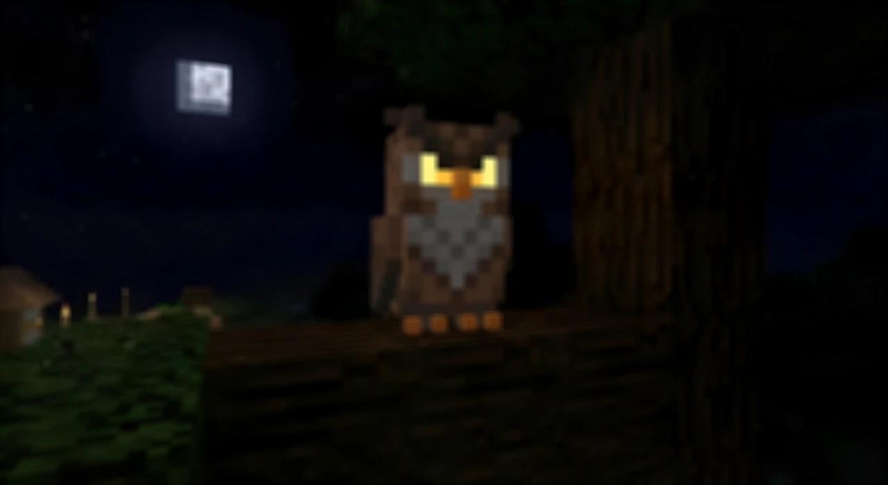 Discovery splash banner for Owl Client Discord server