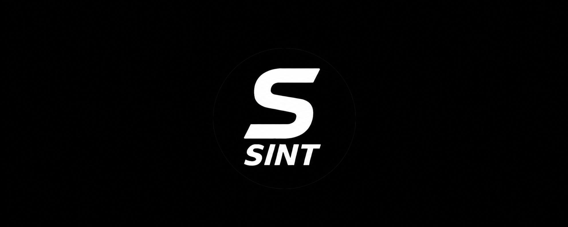 Discovery splash banner for Sint Discord server