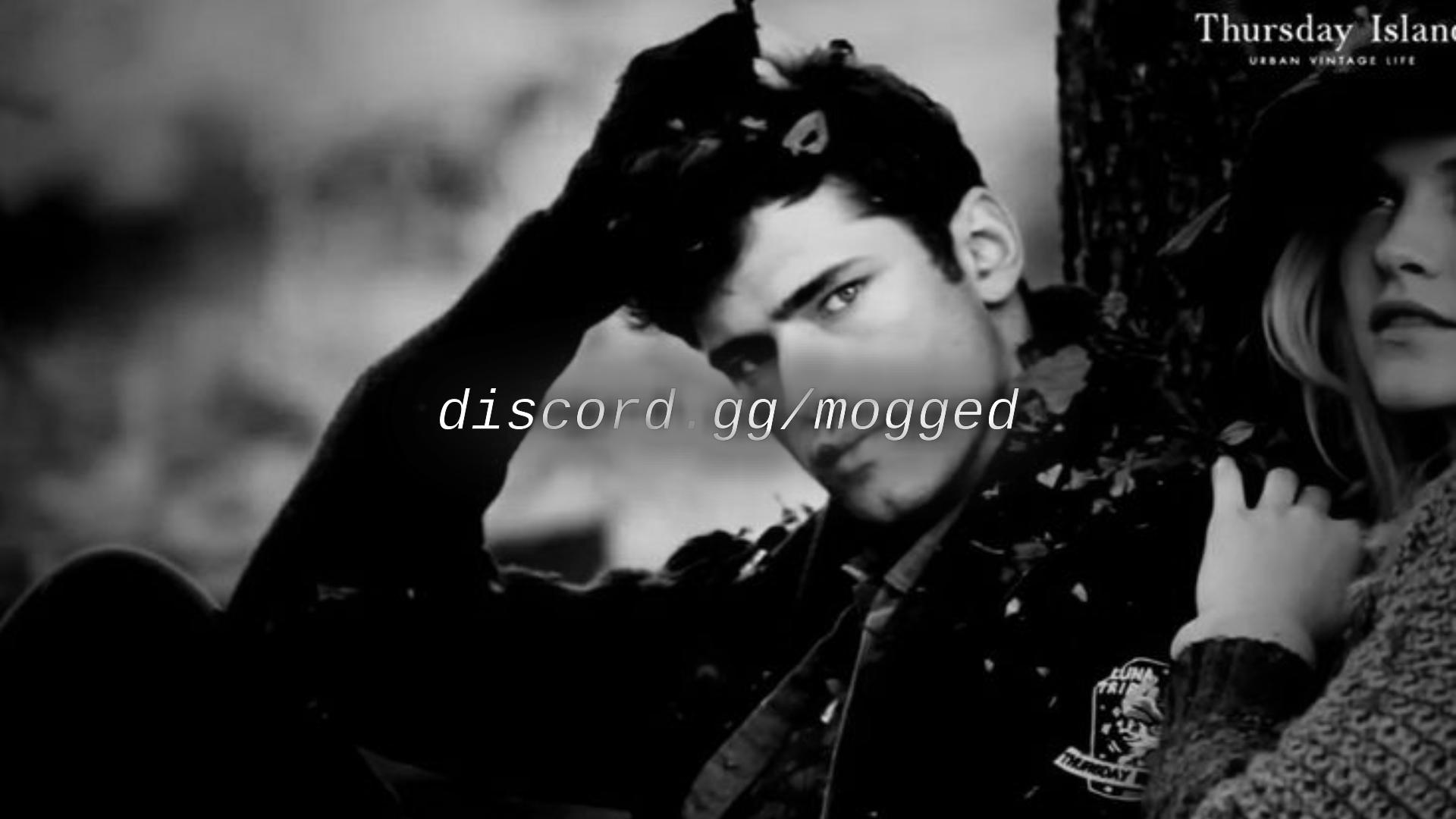 Discovery splash banner for 𝐌𝐨𝐠𝐠𝐞𝐝 Discord server