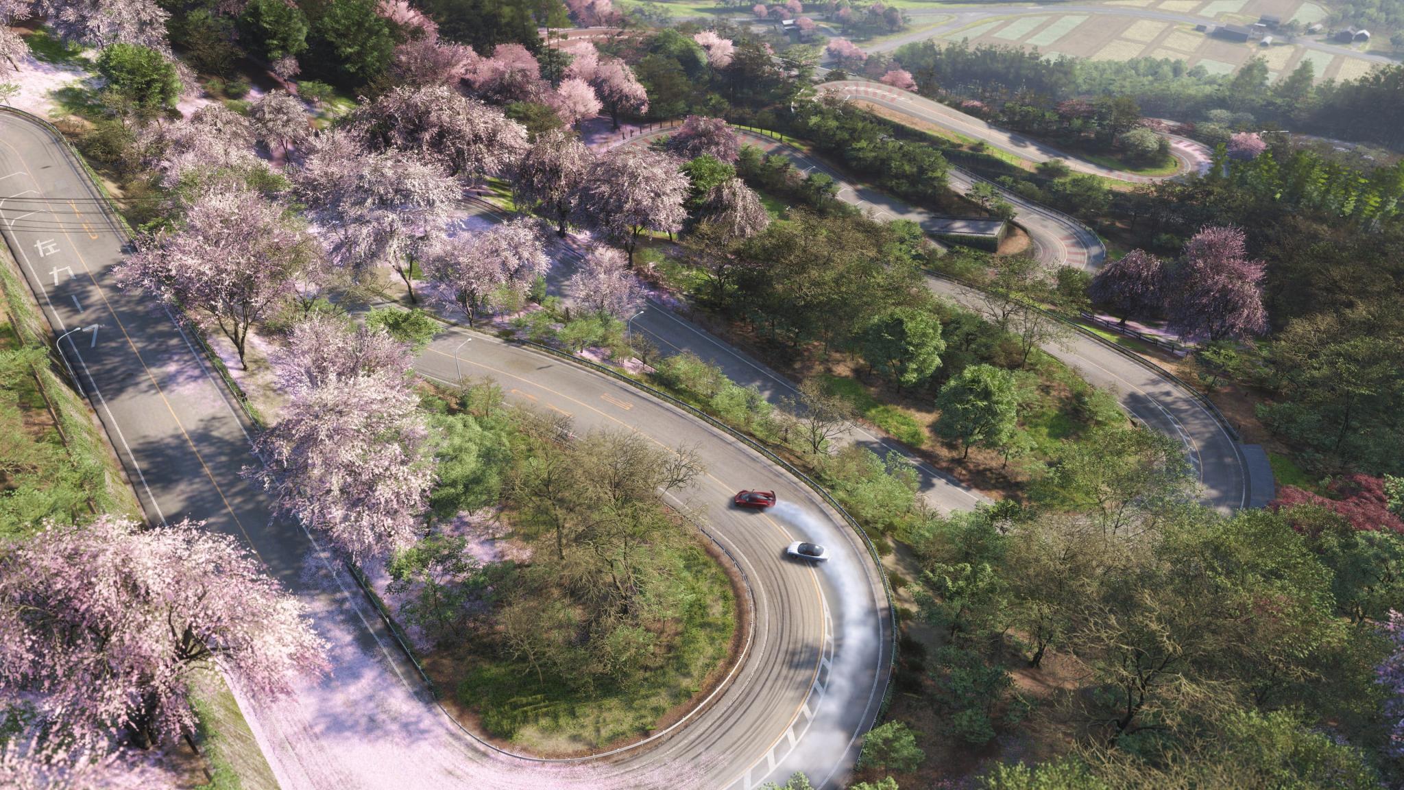 Discovery splash banner for #BUDDY | FORZA HORIZON Discord server
