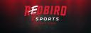 Discovery splash banner for Redbird Esports Discord server