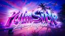 Discovery splash banner for Palmside LA Discord server