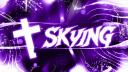Discovery splash banner for ╋━ /skying ﹒ social #jojo Discord server