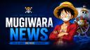 Discovery splash banner for Mugiwara News Discord server