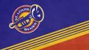 Discovery splash banner for St. Louis Blues Discord server