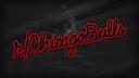Discovery splash banner for r/chicagobulls Discord server