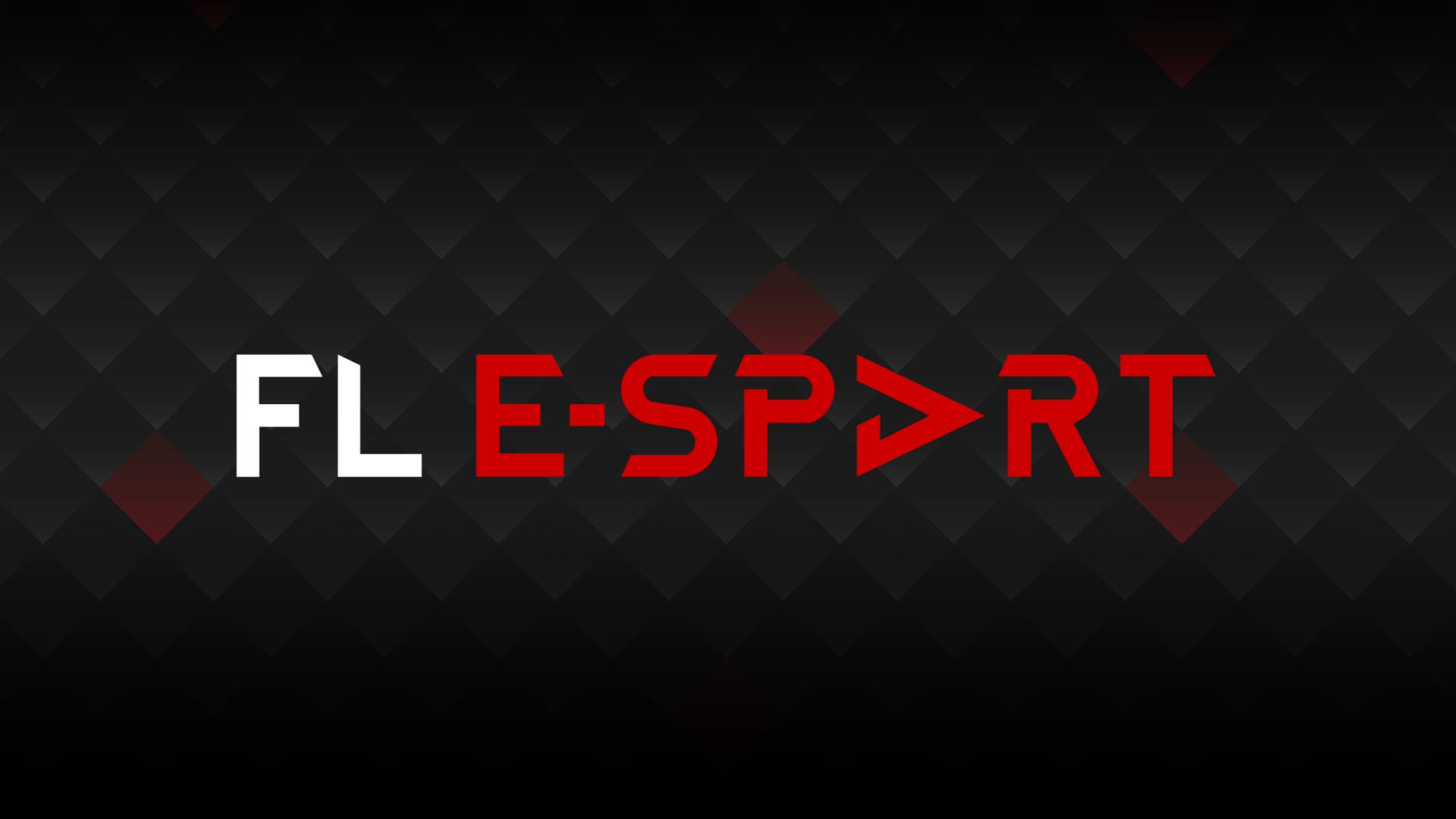 Discovery splash banner for FL E-sport Discord server