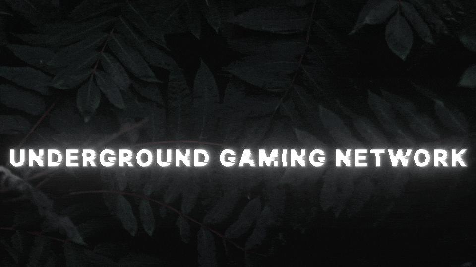 Discovery splash banner for UNDERGROUND GAMING NETWORK Discord server