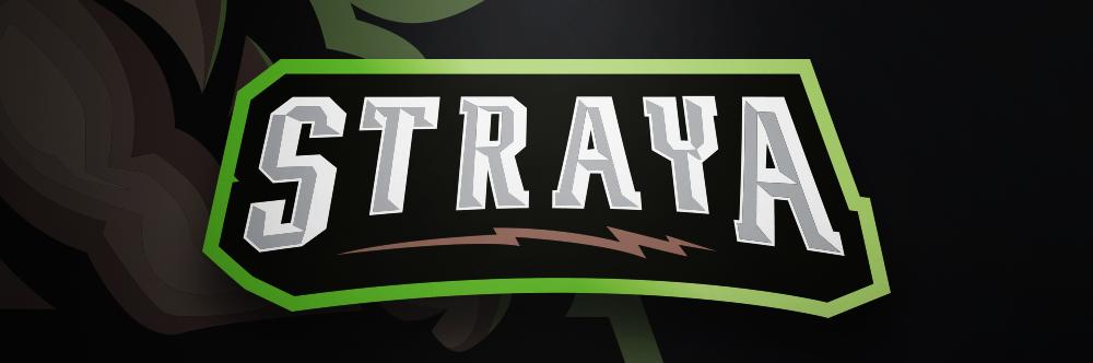Discovery splash banner for StrayaGaming Discord server
