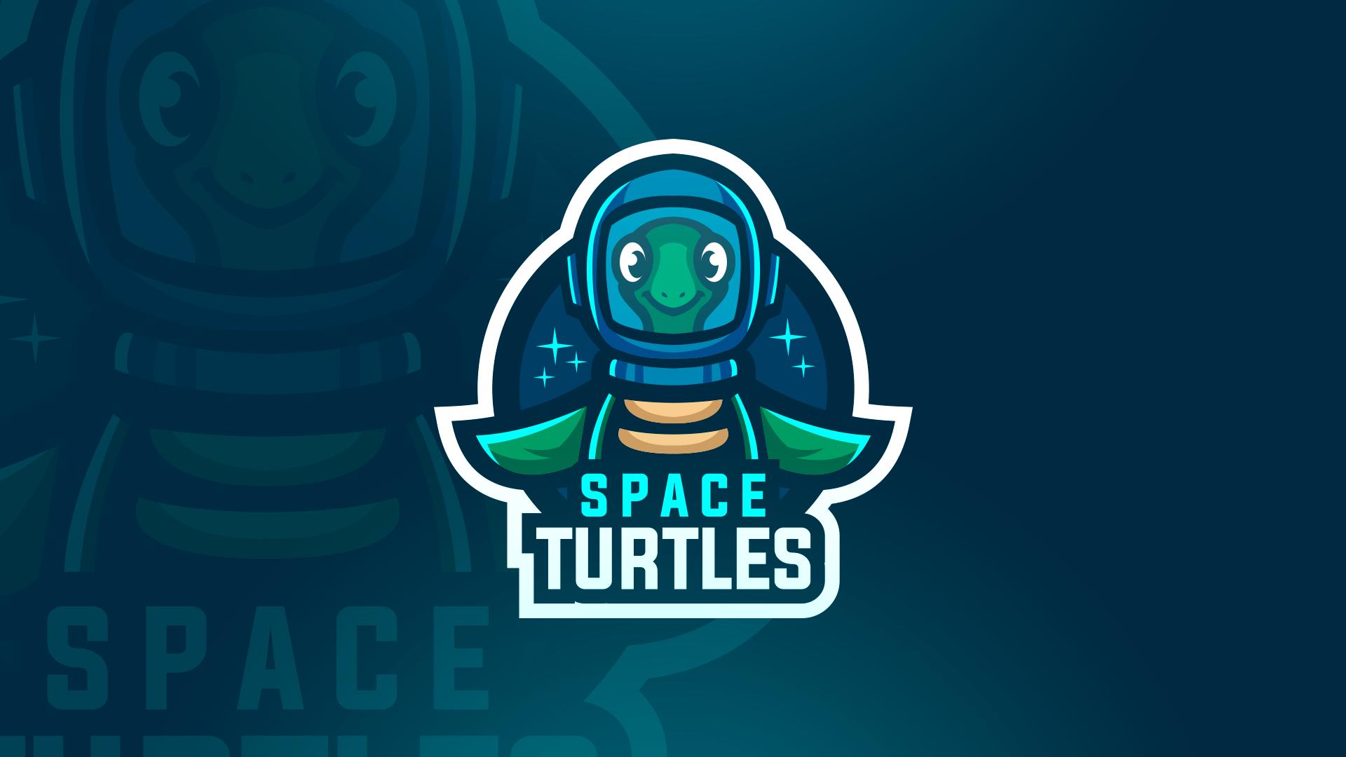 Discovery splash banner for Space Turtles Discord server