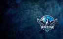 Discovery splash banner for United We Stand Discord server