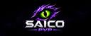 Discovery splash banner for SaiCo Discord server
