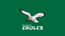 Discovery splash banner for r/eagles Subreddit Discord Discord server