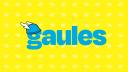 Discovery splash banner for TRIBO GAULES Discord server