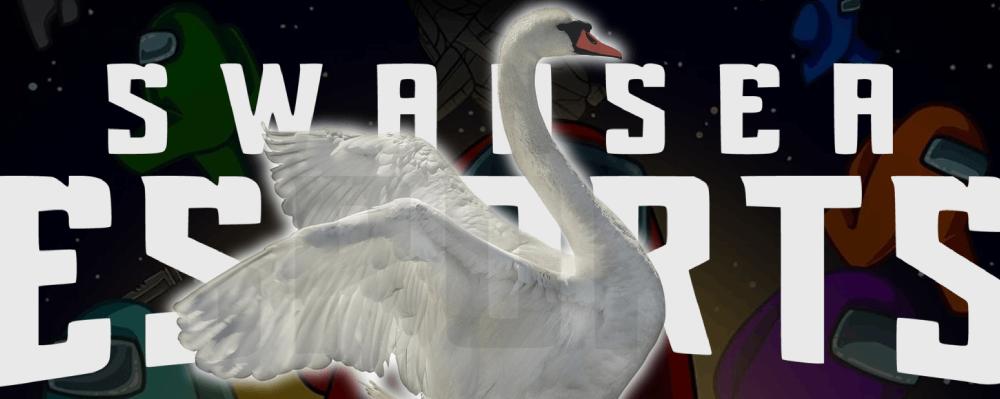 Discovery splash banner for Swansea Esports Discord server