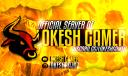 Discovery splash banner for LOKESH GAMER Discord server