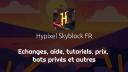 Discovery splash banner for Hypixel Skyblock FR Discord server