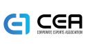Discovery splash banner for Corporate Esports Association Discord server