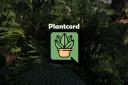 Discovery splash banner for Plantcord Discord server